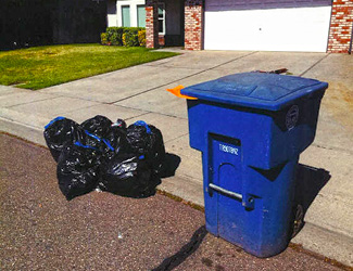 Bags placed next to waste bin instead of inside