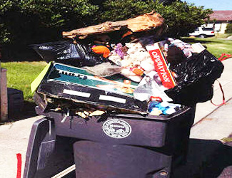 Overfilled waste bin with lid open