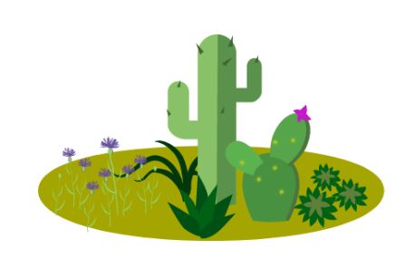 Cactus