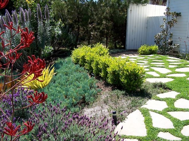 Yard with flat stones