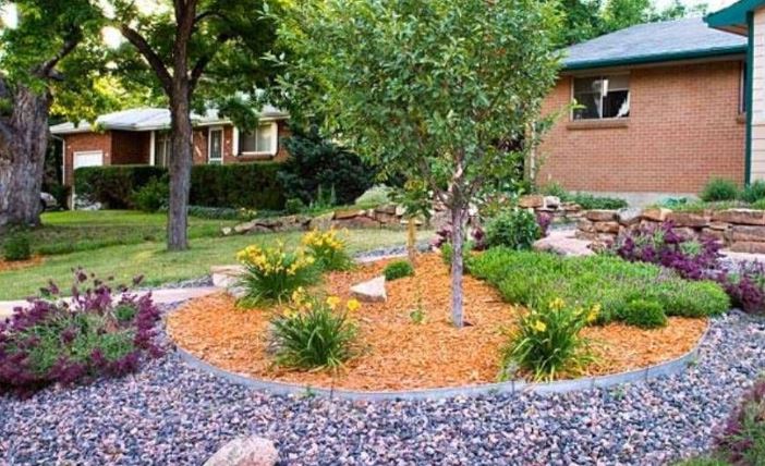 Yard with multicolored rocks